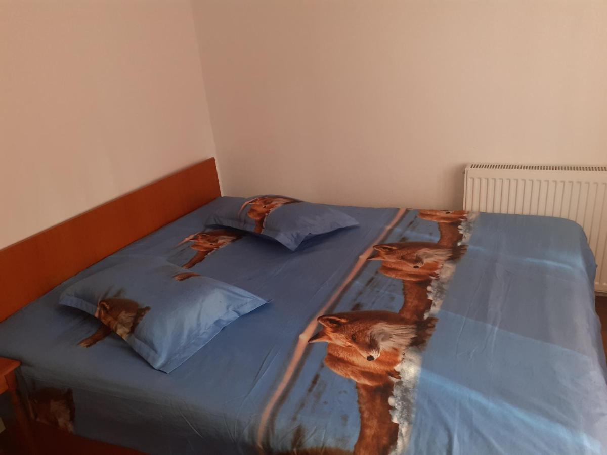 Casa Denisa Vidraru Transfgarasan Hotel Capatineni-Ungureni Ngoại thất bức ảnh