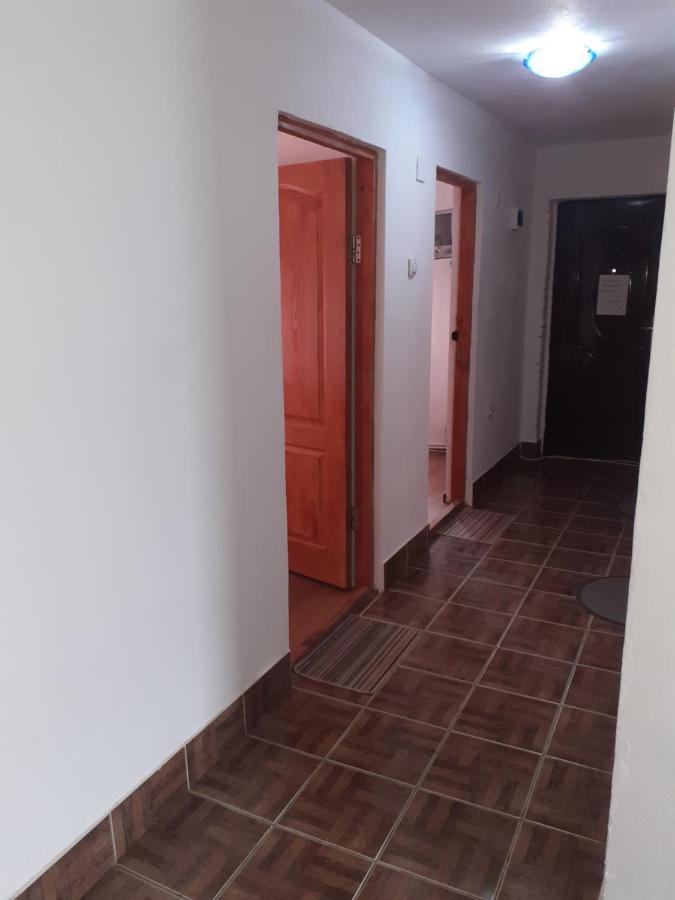 Casa Denisa Vidraru Transfgarasan Hotel Capatineni-Ungureni Ngoại thất bức ảnh