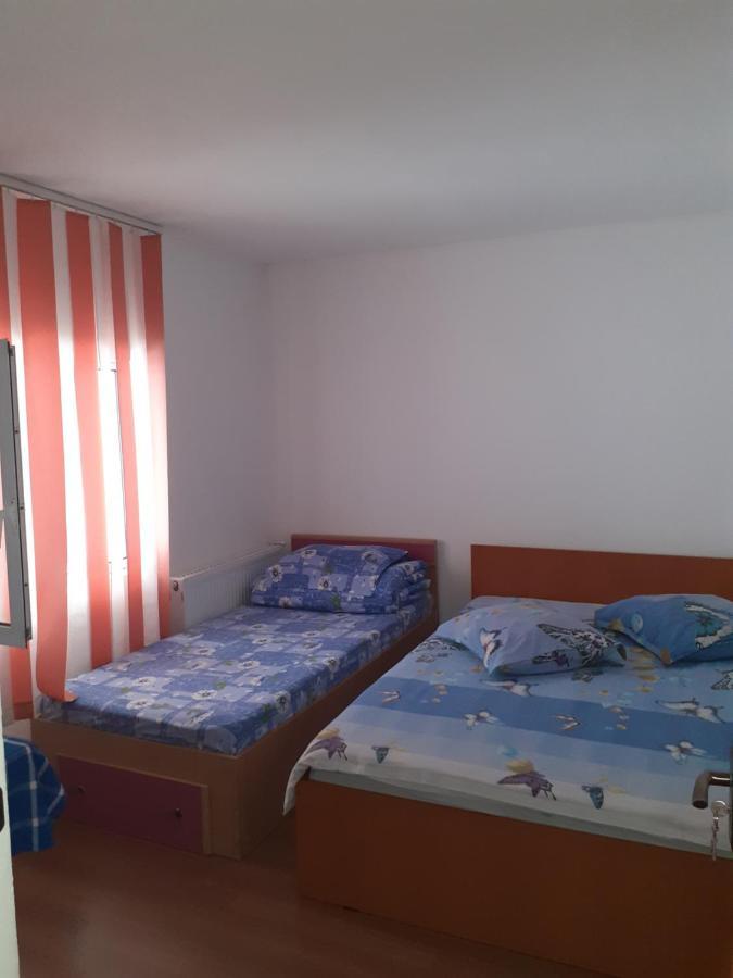 Casa Denisa Vidraru Transfgarasan Hotel Capatineni-Ungureni Ngoại thất bức ảnh