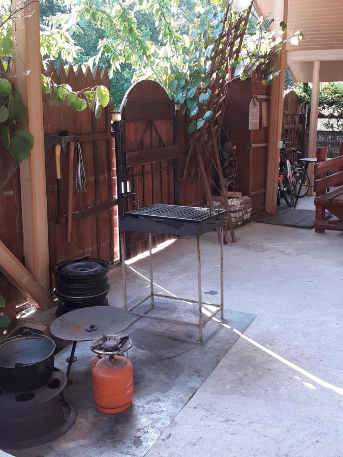 Casa Denisa Vidraru Transfgarasan Hotel Capatineni-Ungureni Ngoại thất bức ảnh
