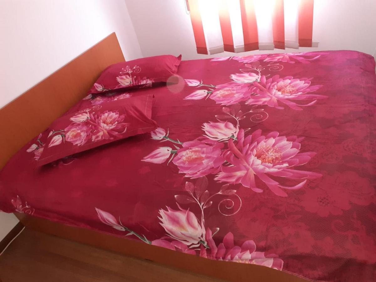 Casa Denisa Vidraru Transfgarasan Hotel Capatineni-Ungureni Ngoại thất bức ảnh