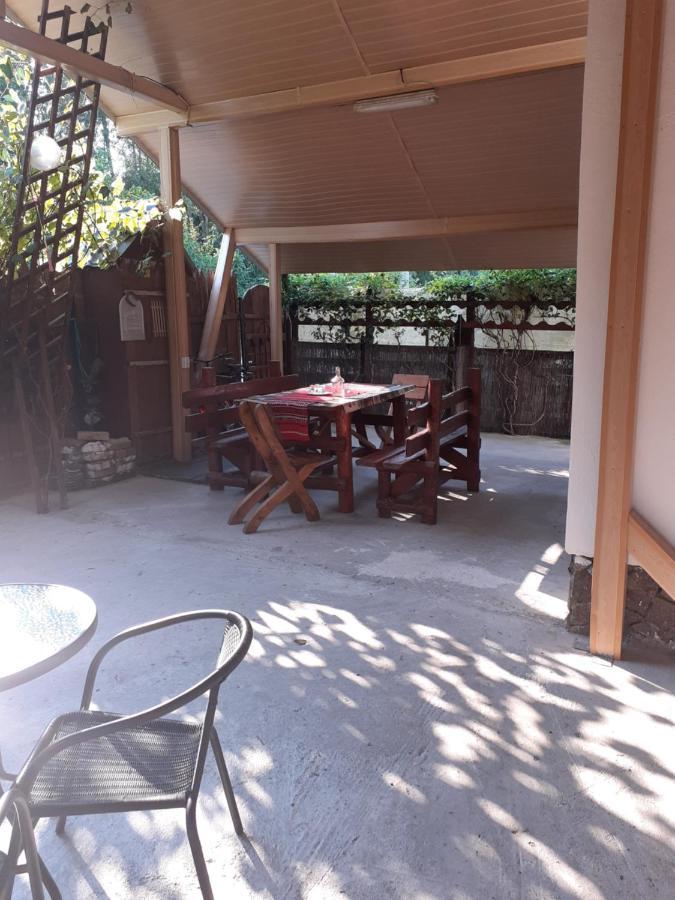 Casa Denisa Vidraru Transfgarasan Hotel Capatineni-Ungureni Ngoại thất bức ảnh